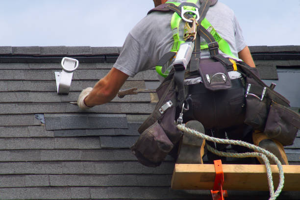 Roof Gutter Cleaning in Bethalto, IL